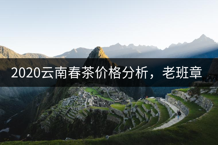 2020云南春茶價(jià)格分析，老班章依然將獨(dú)占鰲頭？