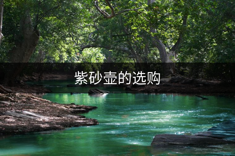 紫砂壺的選購 紫砂壺的選購