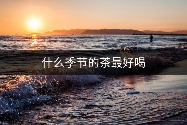 什么季節(jié)的茶最好喝