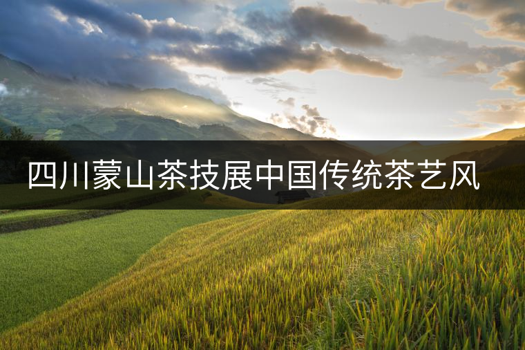 四川蒙山茶技展中國傳統(tǒng)茶藝風(fēng)采