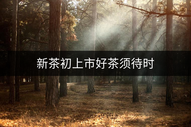 新茶初上市好茶須待時(shí) 新茶初上市好茶須待時(shí)