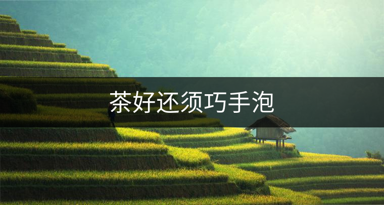 茶好還須巧手泡