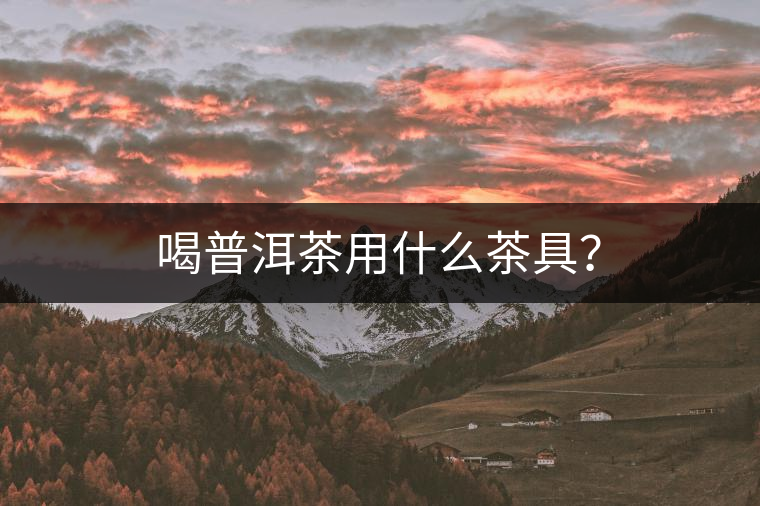 喝普洱茶用什么茶具？