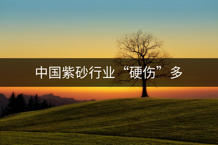 中國紫砂行業(yè)“硬傷”多