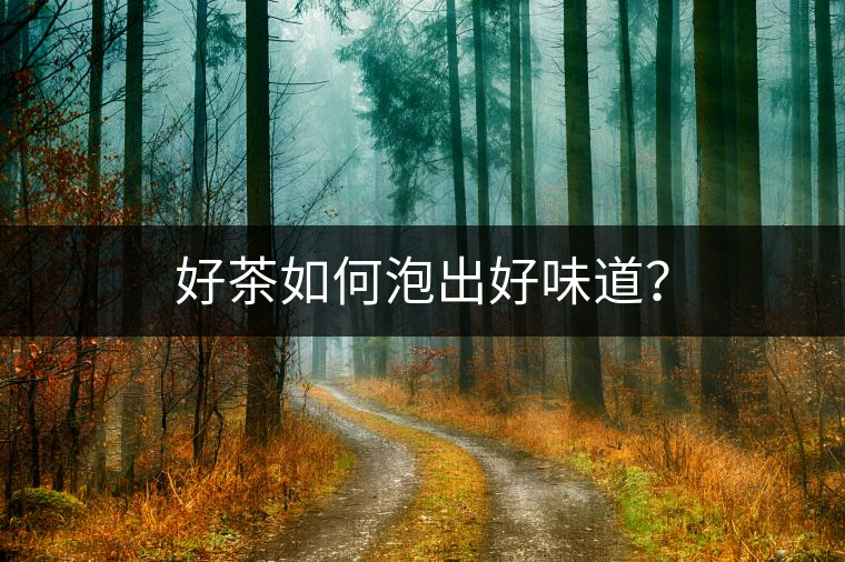 好茶如何泡出好味道？