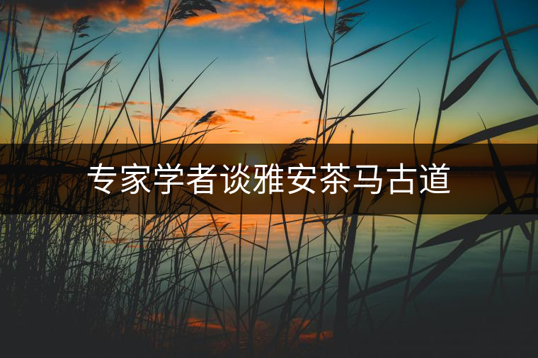 專家學(xué)者談雅安茶馬古道
