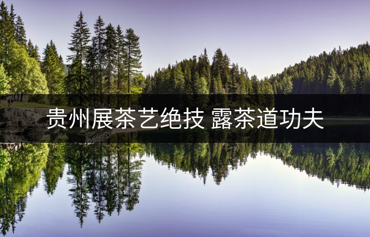 貴州展茶藝絕技 露茶道功夫