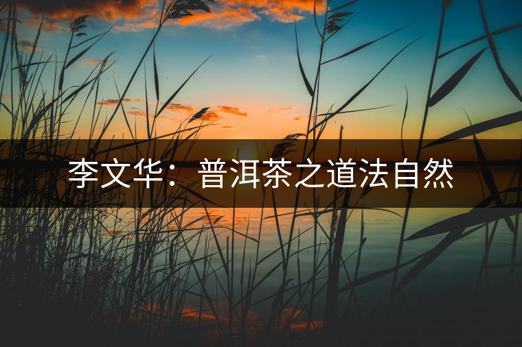 李文華：普洱茶之道法自然