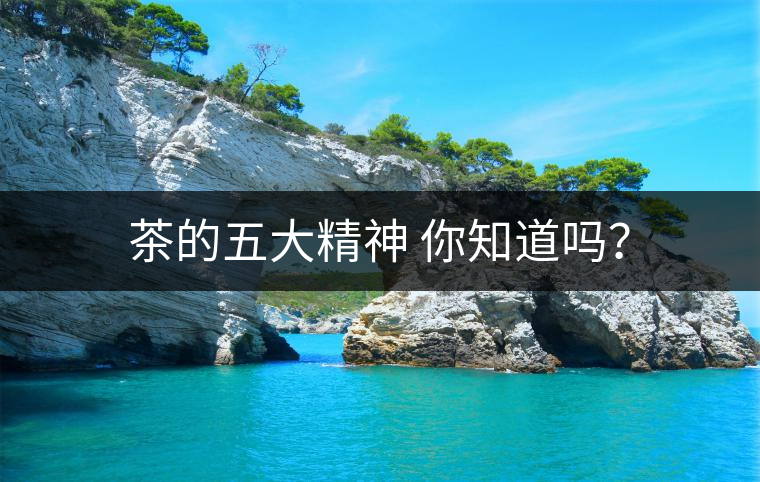 茶的五大精神 你知道嗎？