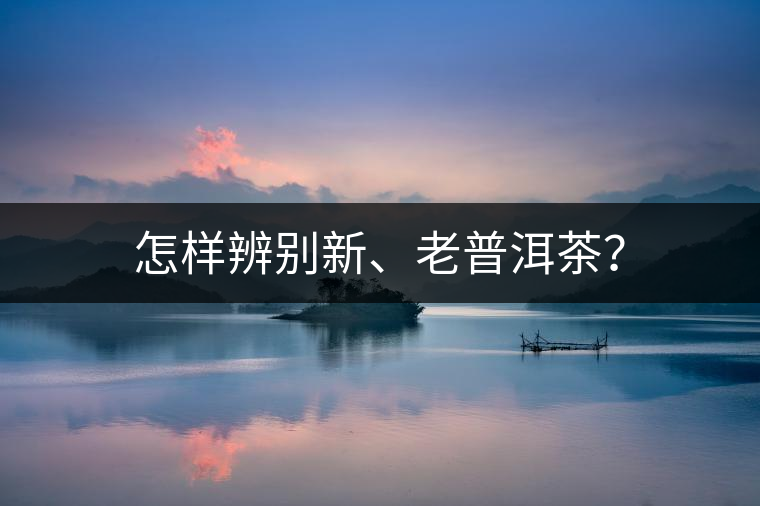 怎樣辨別新、老普洱茶？