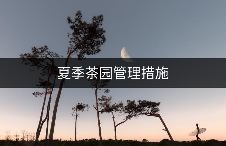 夏季茶園管理措施