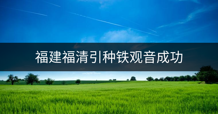 福建福清引種鐵觀音成功
