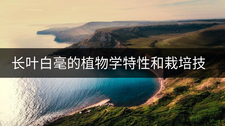 長(zhǎng)葉白毫的植物學(xué)特性和栽培技術(shù) 長(zhǎng)葉白毫的植物學(xué)特性和栽培技術(shù)
