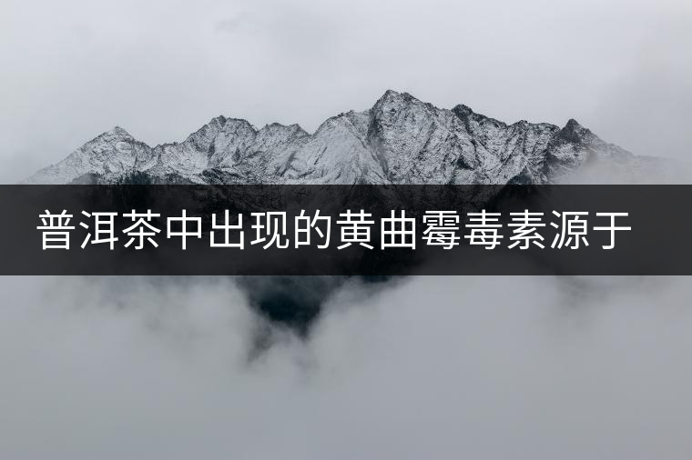 普洱茶中出現(xiàn)的黃曲霉毒素源于二次污染