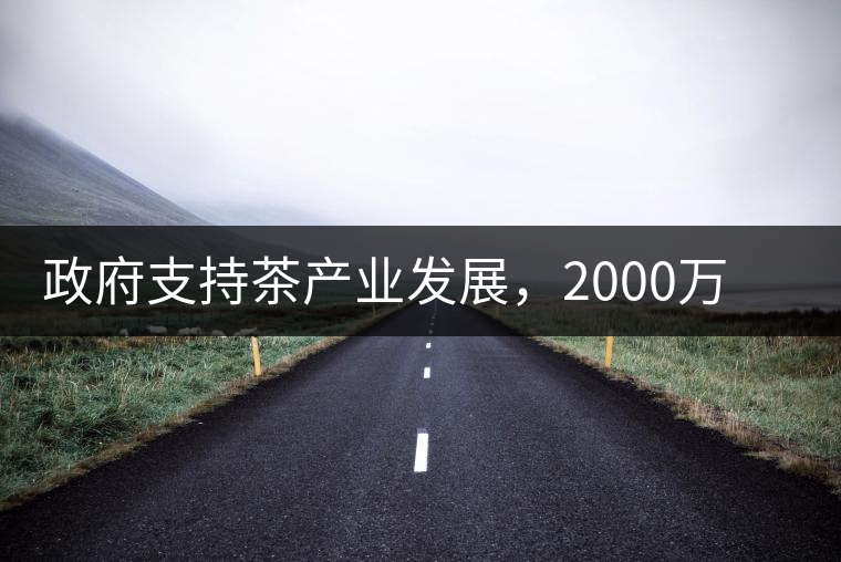 政府支持茶產(chǎn)業(yè)發(fā)展，2000萬元扶持茶產(chǎn)業(yè)轉(zhuǎn)型升級