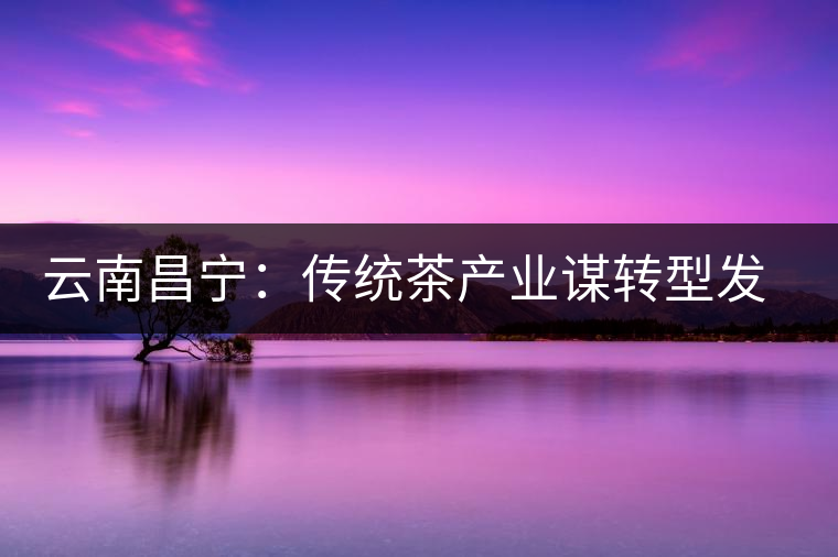 云南昌寧：傳統(tǒng)茶產業(yè)謀轉型發(fā)展