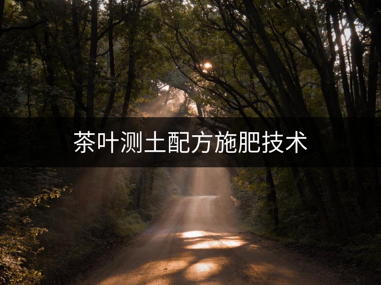 茶葉測土配方施肥技術(shù)