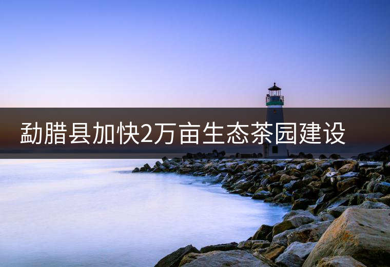 勐臘縣加快2萬畝生態(tài)茶園建設(shè)，促進茶葉產(chǎn)業(yè)持續(xù)發(fā)展