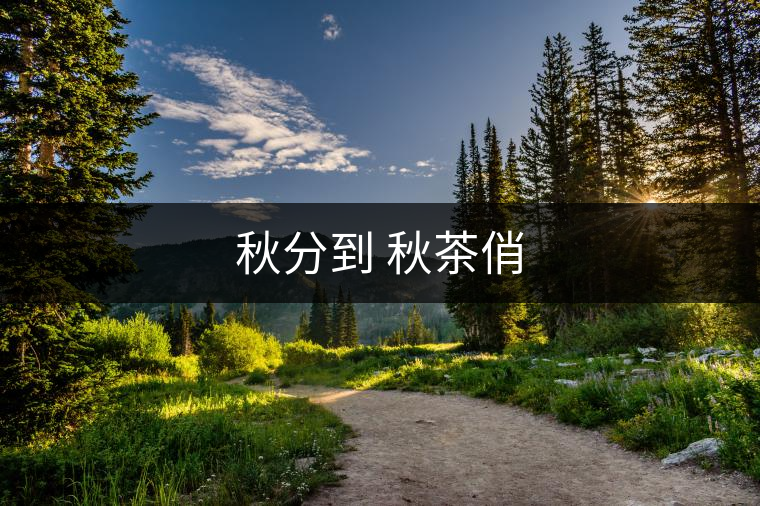 秋分到 秋茶俏
