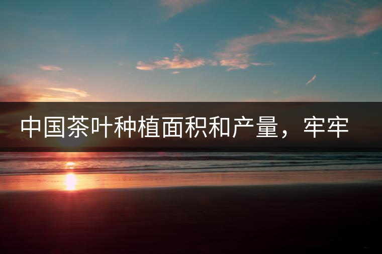 中國茶葉種植面積和產(chǎn)量，牢牢站穩(wěn)世界首位！