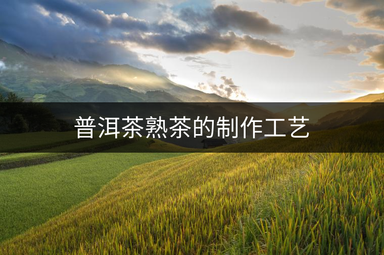 普洱茶熟茶的制作工藝