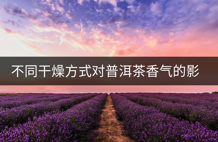 不同干燥方式對普洱茶香氣的影響研究