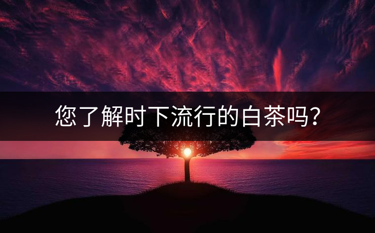 您了解時下流行的白茶嗎？