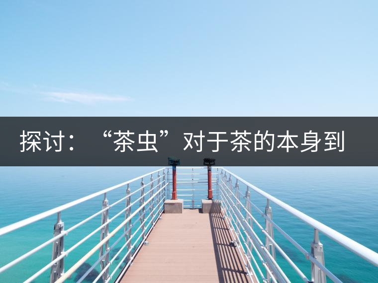 探討：“茶蟲”對于茶的本身到底是好是壞？