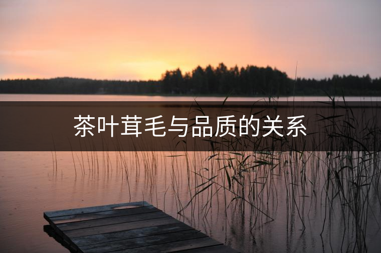 茶葉茸毛與品質(zhì)的關(guān)系