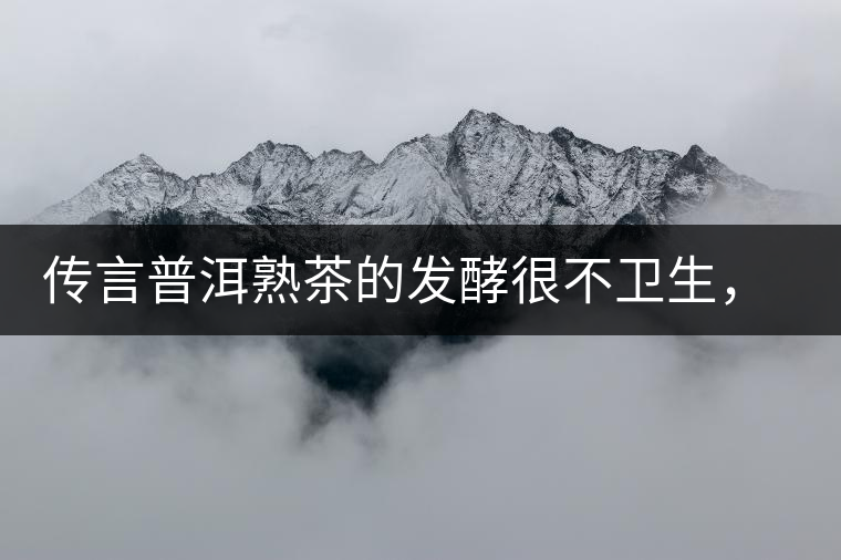 傳言普洱熟茶的發(fā)酵很不衛(wèi)生，是真的嗎？