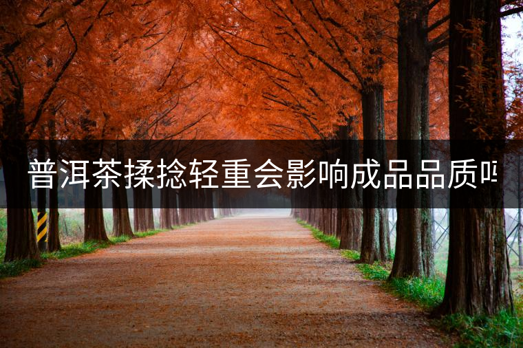 普洱茶揉捻輕重會影響成品品質(zhì)嗎？