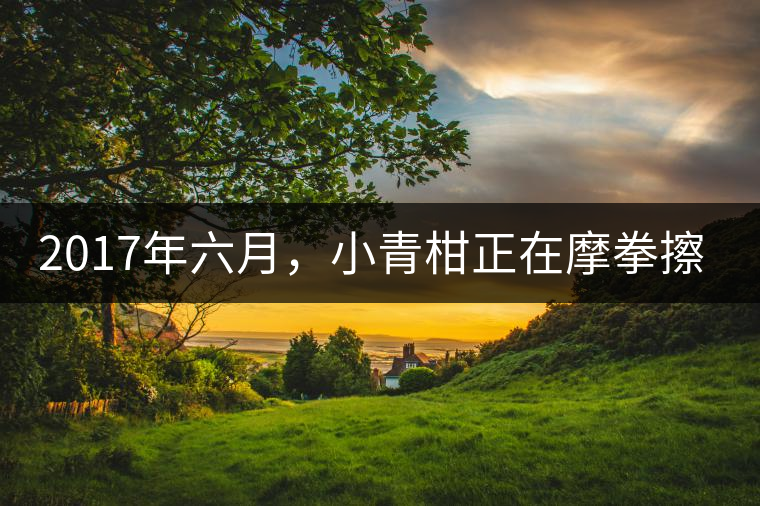 2017年六月，小青柑正在摩拳擦掌