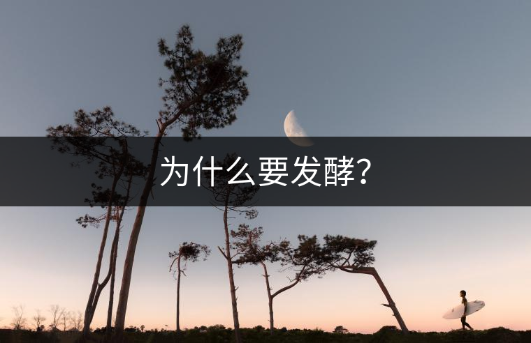 為什么要發(fā)酵？