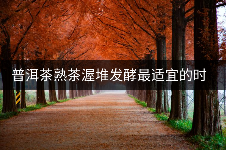 普洱茶熟茶渥堆發(fā)酵最適宜的時期是什么時候？