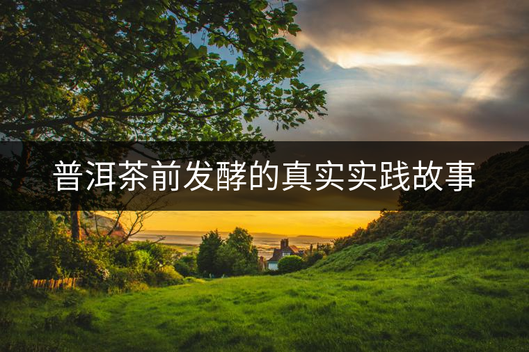 普洱茶前發(fā)酵的真實實踐故事