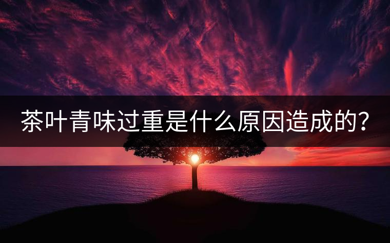 茶葉青味過重是什么原因造成的？