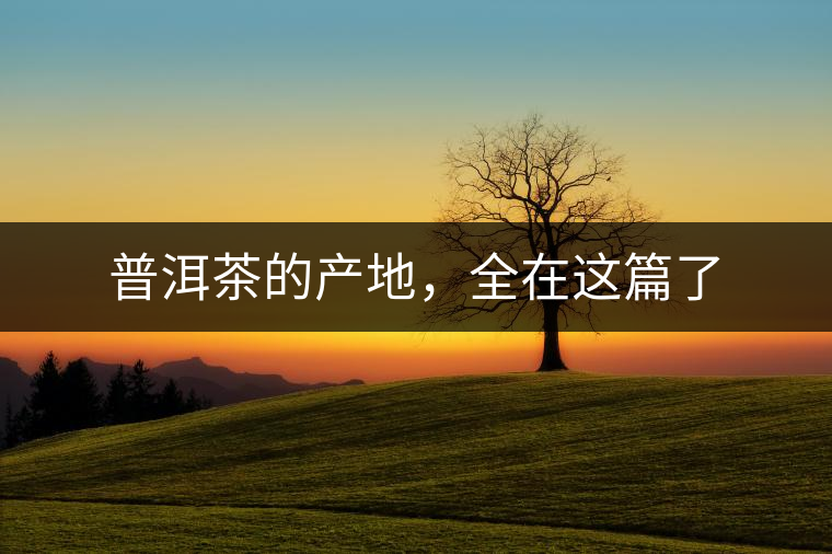 普洱茶的產(chǎn)地，全在這篇了