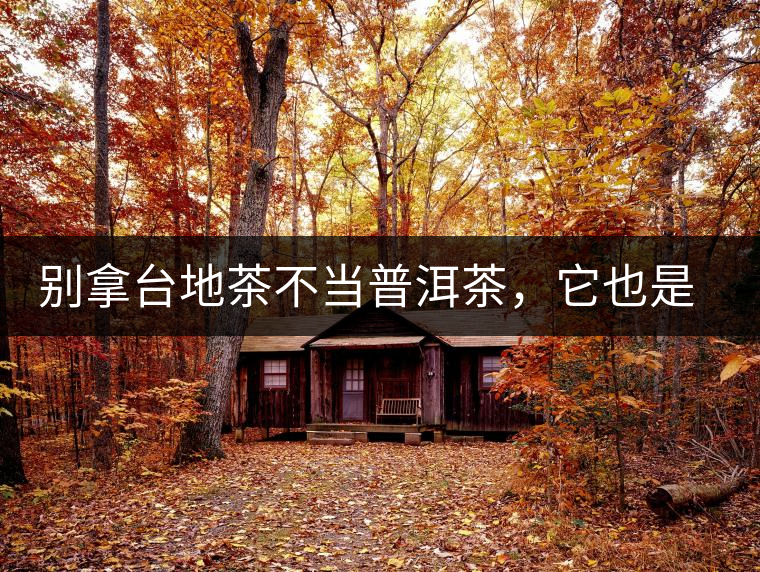 別拿臺地茶不當普洱茶，它也是大葉種喬木