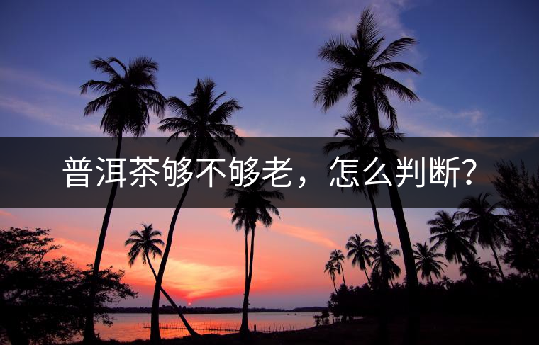 普洱茶夠不夠老，怎么判斷？