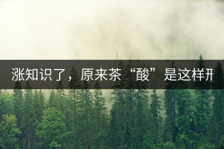 漲知識(shí)了，原來(lái)茶“酸”是這樣形成的！