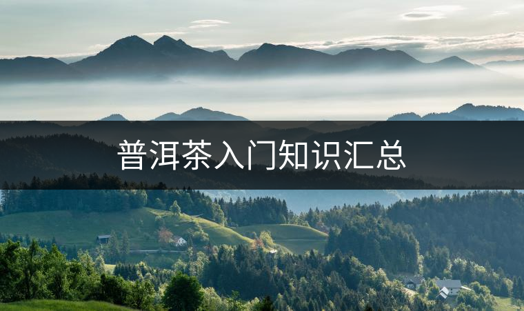 普洱茶入門知識匯總