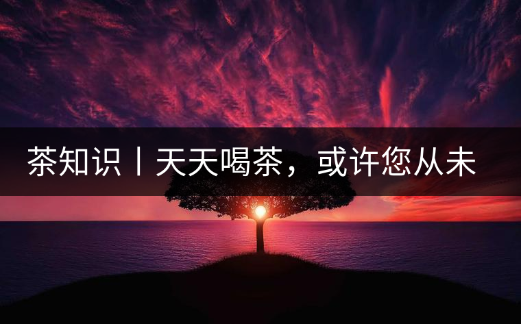 茶知識丨天天喝茶，或許您從未注意過茶樹花