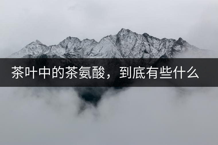 茶葉中的茶氨酸，到底有些什么功效？