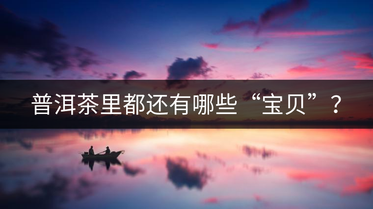 普洱茶里都還有哪些“寶貝”？