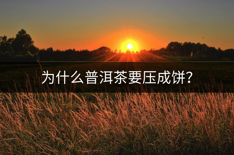 為什么普洱茶要壓成餅？