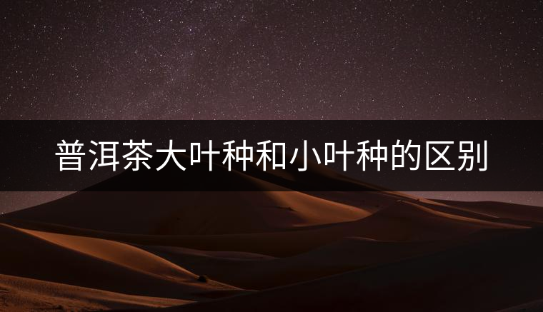 普洱茶大葉種和小葉種的區(qū)別