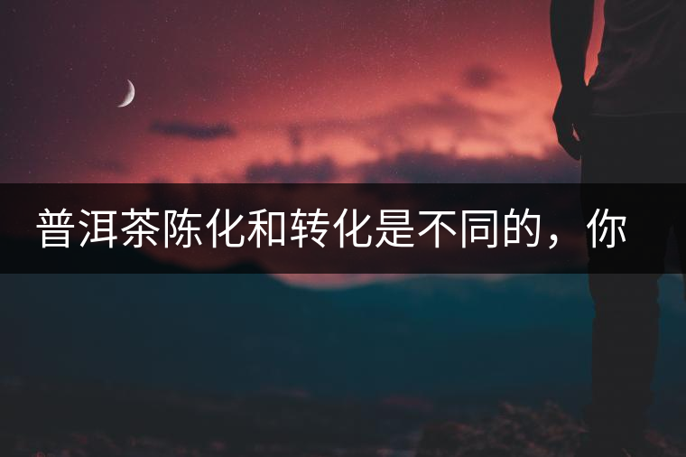 普洱茶陳化和轉(zhuǎn)化是不同的，你造嗎？