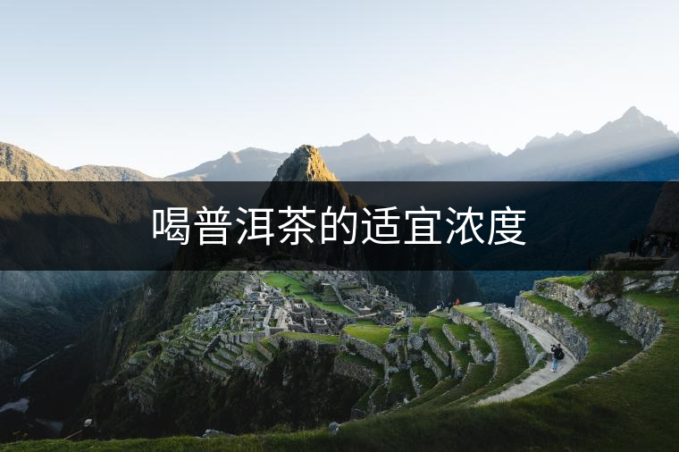 喝普洱茶的適宜濃度 喝普洱茶的適宜濃度