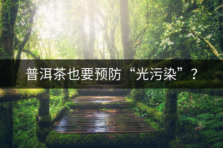 普洱茶也要預防“光污染”？