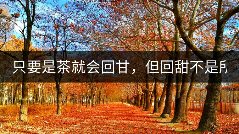 只要是茶就會回甘，但回甜不是所有茶都有！